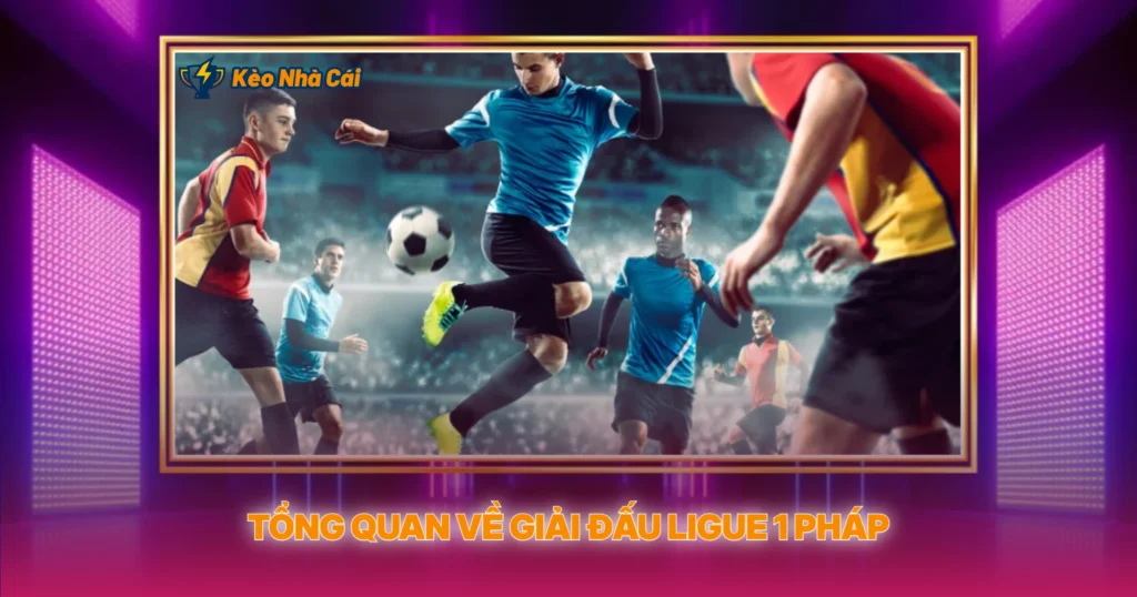 Tổng Quan Về Giải Đấu Ligue 1 Pháp